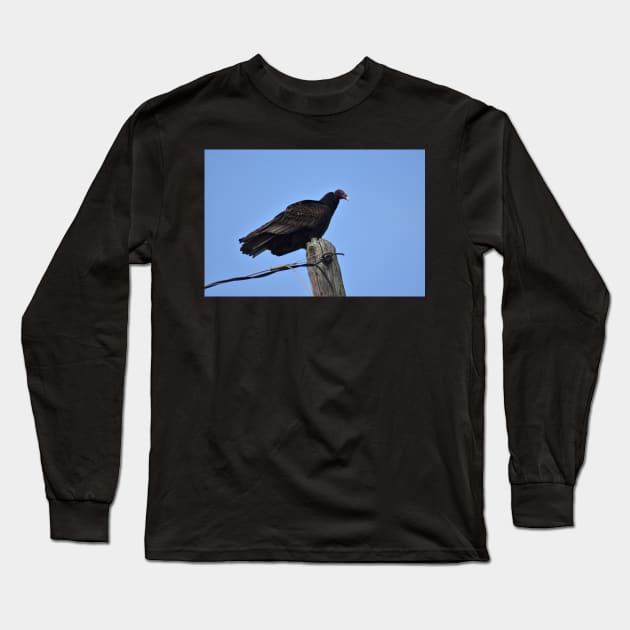 Turkey Vulture Long Sleeve T-Shirt by MarieDarcy